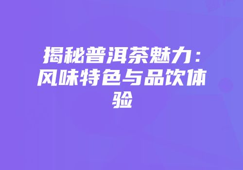 揭秘普洱茶魅力：风味特色与品饮体验