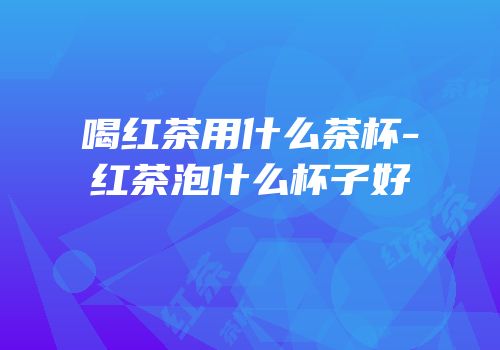 喝红茶用什么茶杯-红茶泡什么杯子好