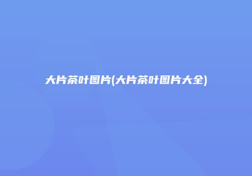 大片茶叶图片(大片茶叶图片大全)