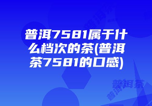 普洱7581属于什么档次的茶(普洱茶7581的口感)