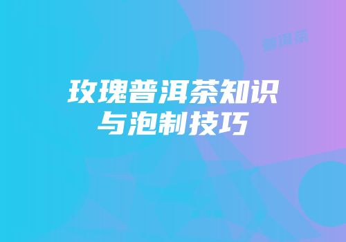 玫瑰普洱茶知识与泡制技巧
