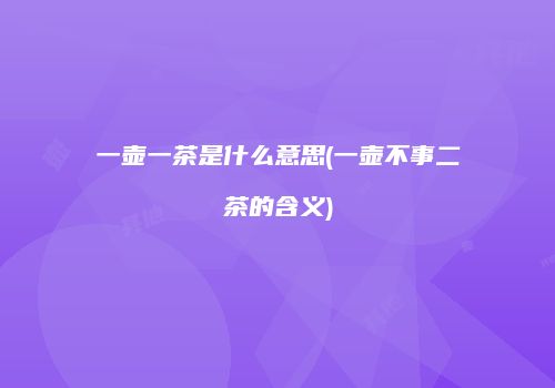 一壶一茶是什么意思(一壶不事二茶的含义)