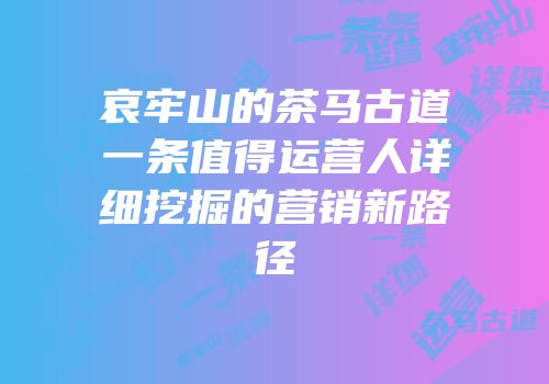哀牢山的茶马古道一条值得运营人详细挖掘的营销新路径