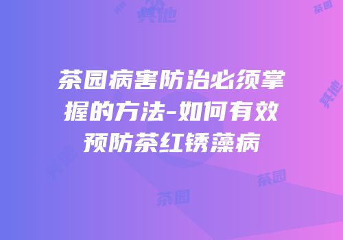 茶园病害防治必须掌握的方法-如何有效预防茶红锈藻病