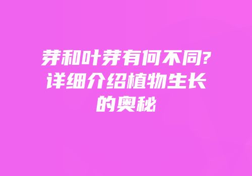 芽和叶芽有何不同?详细介绍植物生长的奥秘