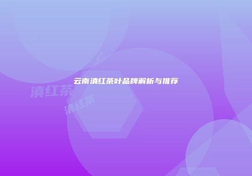 云南滇红茶叶品牌解析与推荐