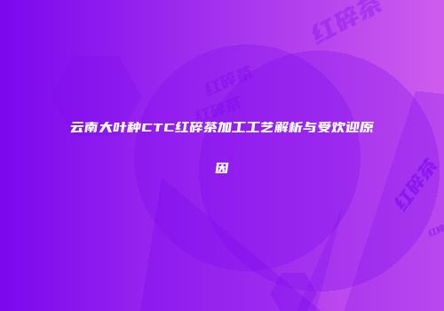 云南大叶种CTC红碎茶加工工艺解析与受欢迎原因