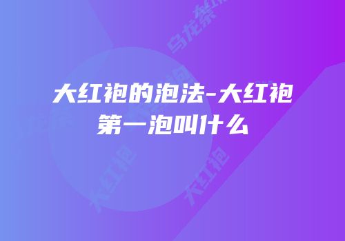 大红袍的泡法-大红袍第一泡叫什么