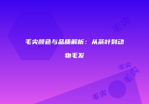 毛尖颜色与品质解析：从茶叶到动物毛发
