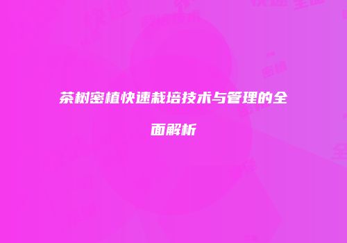 茶树密植快速栽培技术与管理的全面解析