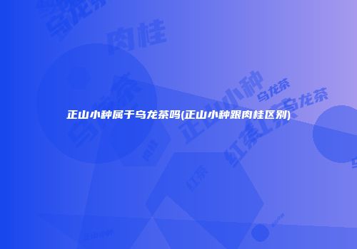 正山小种属于乌龙茶吗(正山小种跟肉桂区别)