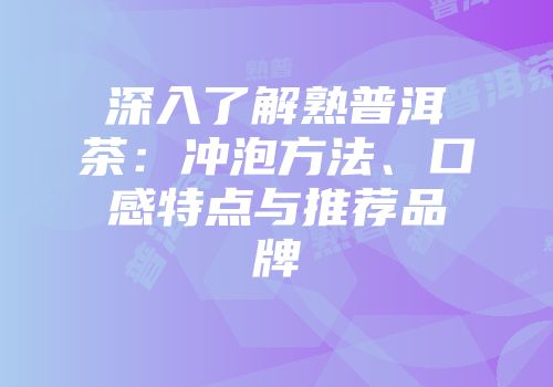深入了解熟普洱茶：冲泡方法、口感特点与推荐品牌