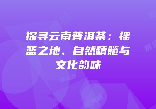 探寻云南普洱茶：摇篮之地、自然精髓与文化韵味