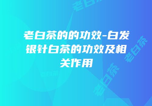 老白茶的的功效-白发银针白茶的功效及相关作用