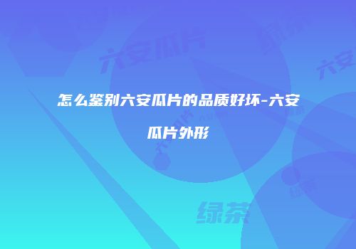 怎么鉴别六安瓜片的品质好坏-六安瓜片外形