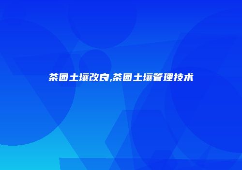 茶园土壤改良,茶园土壤管理技术