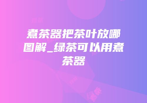 煮茶器把茶叶放哪图解_绿茶可以用煮茶器