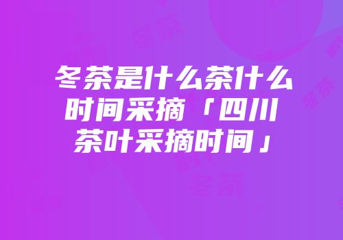 冬茶是什么茶什么时间采摘「四川茶叶采摘时间」
