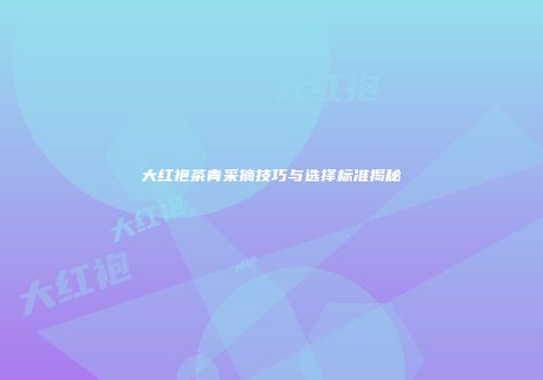 大红袍茶青采摘技巧与选择标准揭秘