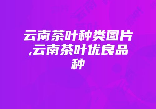 云南茶叶种类图片,云南茶叶优良品种
