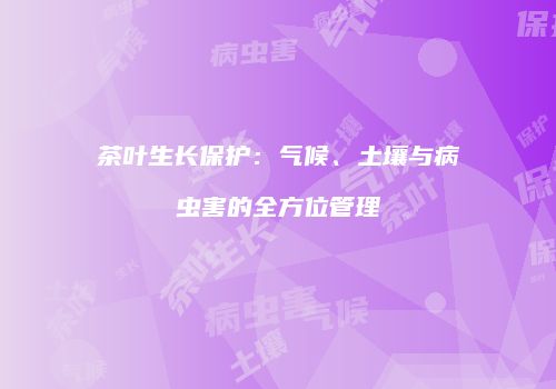 茶叶生长保护：气候、土壤与病虫害的全方位管理