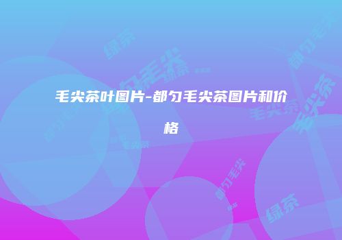 毛尖茶叶图片-都匀毛尖茶图片和价格