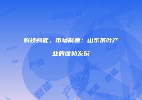 科技赋能，市场繁荣：山东茶叶产业的蓬勃发展