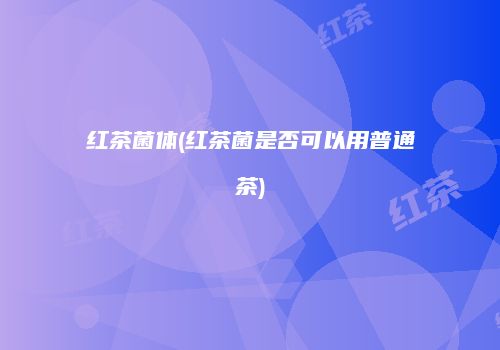 红茶菌体(红茶菌是否可以用普通茶)