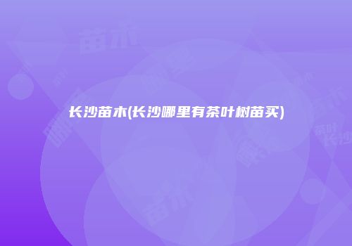 长沙苗木(长沙哪里有茶叶树苗买)