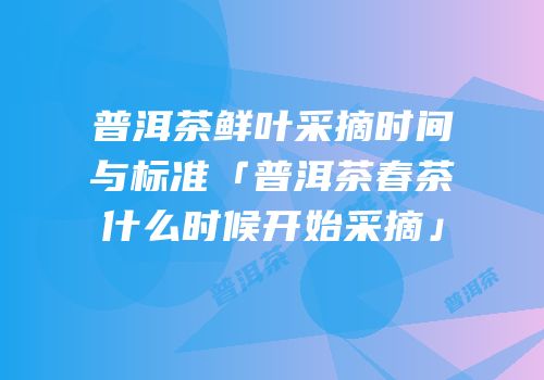普洱茶鲜叶采摘时间与标准「普洱茶春茶什么时候开始采摘」