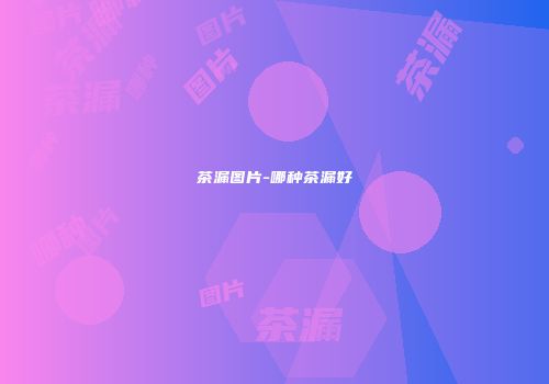 茶漏图片-哪种茶漏好