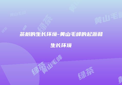 茶树的生长环境-黄山毛峰的起源和生长环境