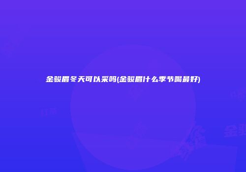 金骏眉冬天可以采吗(金骏眉什么季节喝最好)
