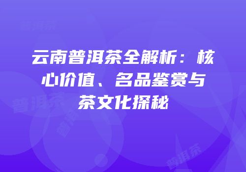 云南普洱茶全解析：核心价值、名品鉴赏与茶文化探秘