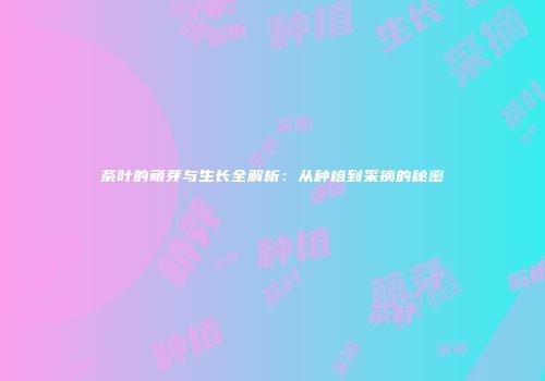茶叶的萌芽与生长全解析：从种植到采摘的秘密