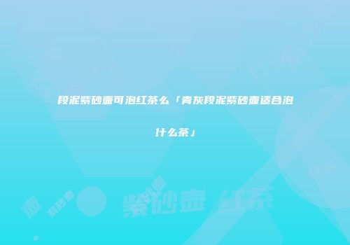 段泥紫砂壶可泡红茶么「青灰段泥紫砂壶适合泡什么茶」