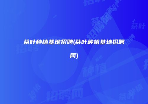 茶叶种植基地招聘(茶叶种植基地招聘网)