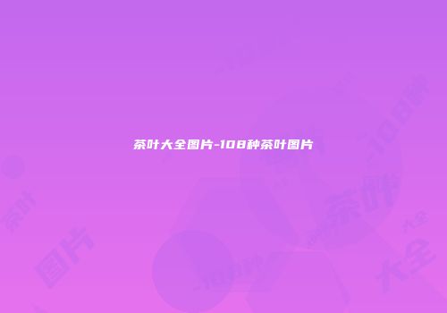 茶叶大全图片-108种茶叶图片