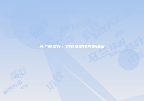 马兰枝茶叶：功效与制作方法详解