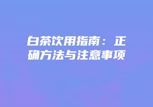 白茶饮用指南：正确方法与注意事项