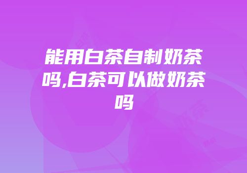 能用白茶自制奶茶吗,白茶可以做奶茶吗