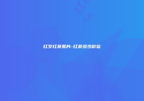 红岁红茶照片-红茶多少价位