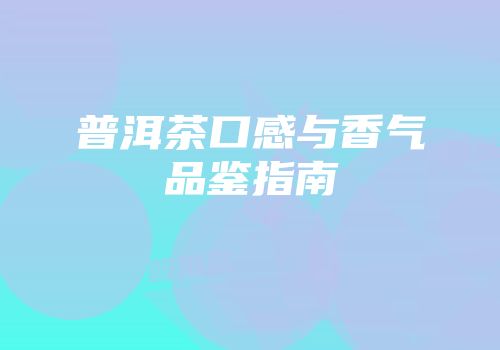 普洱茶口感与香气品鉴指南