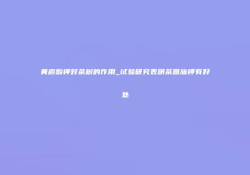 黄腐酸钾对茶树的作用_试验研究表明茶园施钾有好处