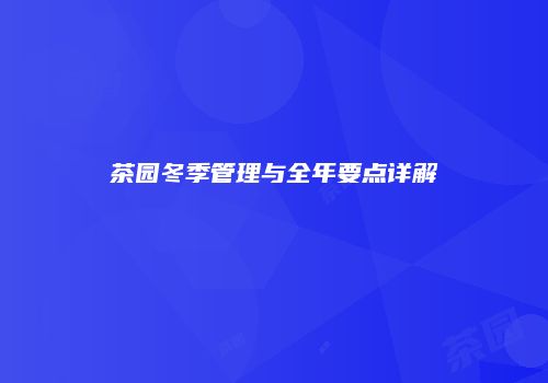 茶园冬季管理与全年要点详解