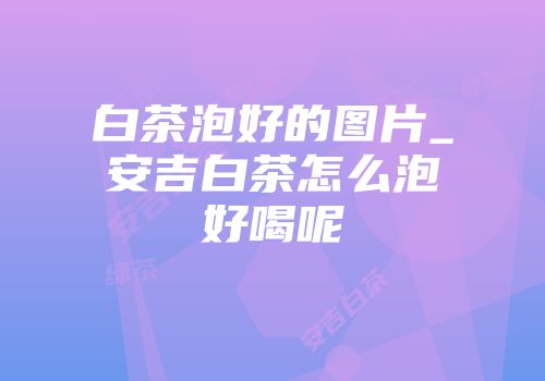 白茶泡好的图片_安吉白茶怎么泡好喝呢