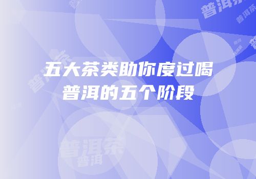 五大茶类助你度过喝普洱的五个阶段