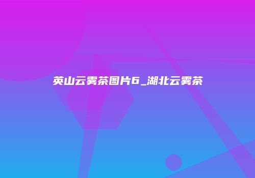 英山云雾茶图片6_湖北云雾茶