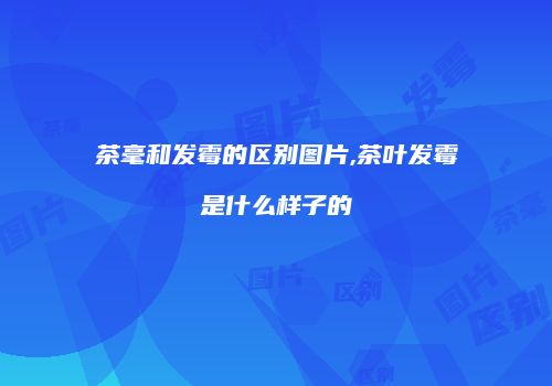 茶毫和发霉的区别图片,茶叶发霉是什么样子的