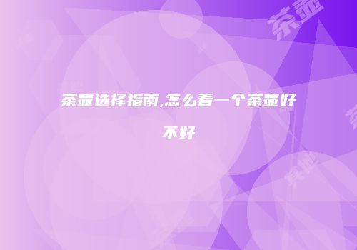 茶壶选择指南,怎么看一个茶壶好不好
